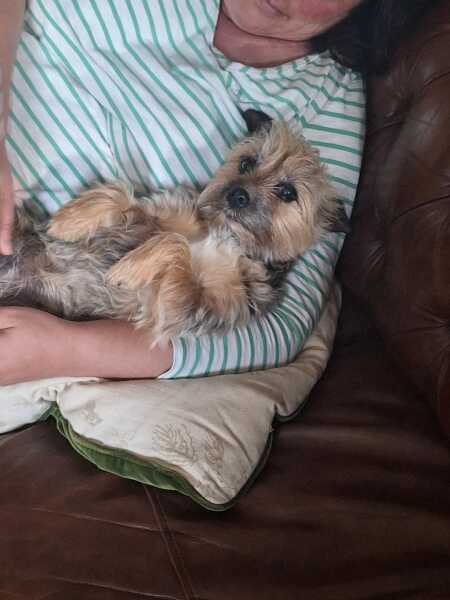 Was anyone else at Snape Maltings today? Did Alan get his table?