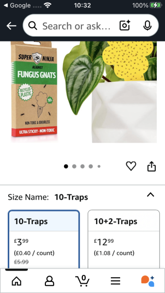 Fungus gnats!! Anyone had them before?