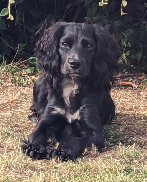 Our Cosmic Autumn Rebellion (Adolescent Support Group)