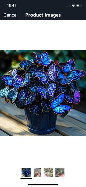 to say AI has ruined the home decor side of Pinterest?
