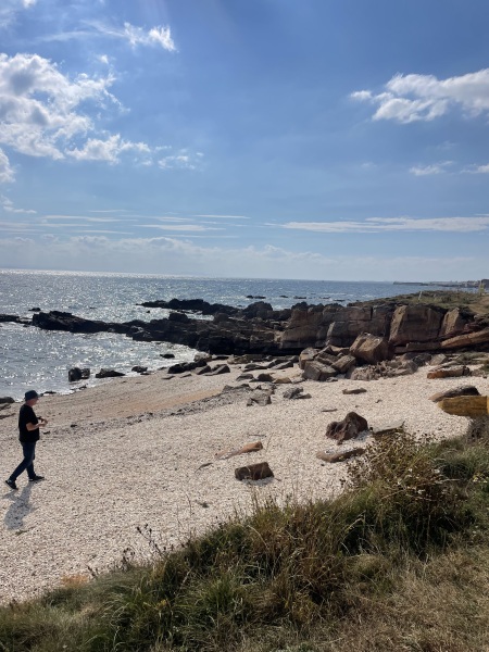 Year round Nigel Slater discussion thread Part 2