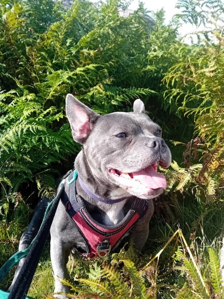 Continuing support thread for those trying to live an alcohol free life - summer 2025