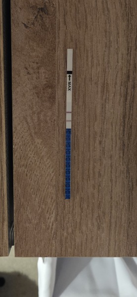 TTC TWW August/September 2025