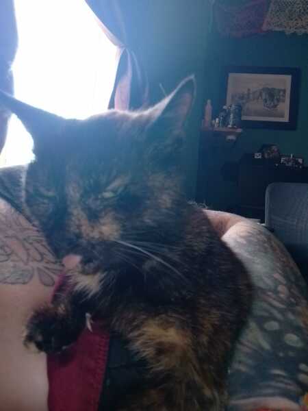 The One after the One where the Excellent Cats posed for a calendar