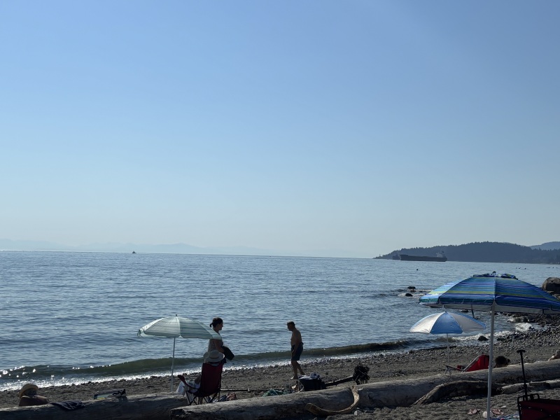 Come and tell us your dull and unexciting news 34: Calmly through the day