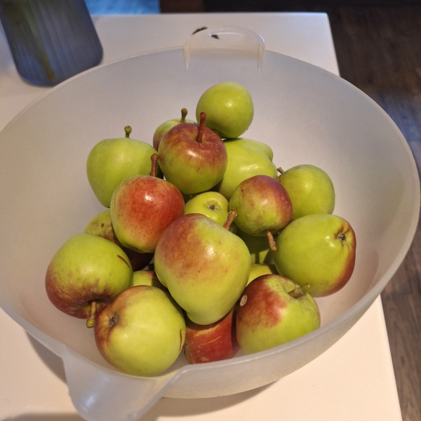 Summer 25 HFLC Boot Camp: Week 2