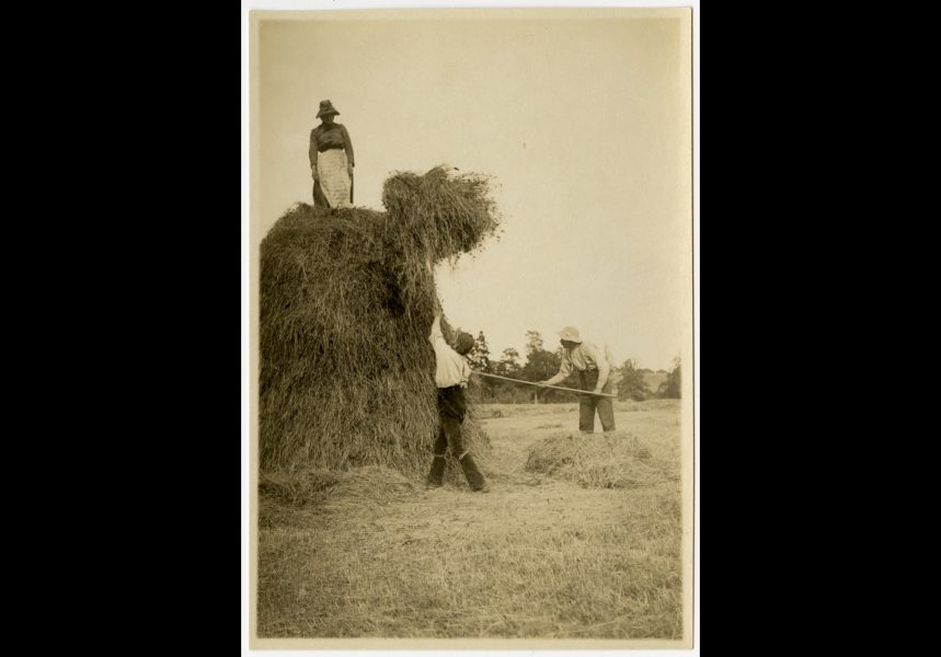 Farmers Wives?