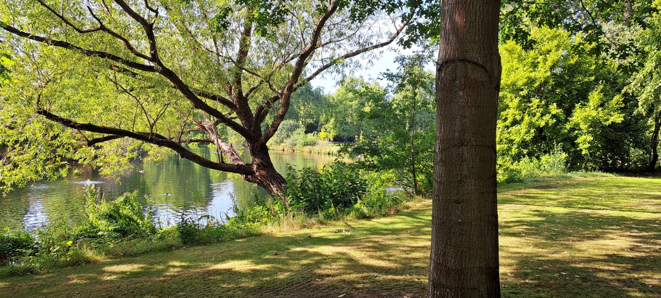 Thread 30 Starmer - Magic Roundabouts