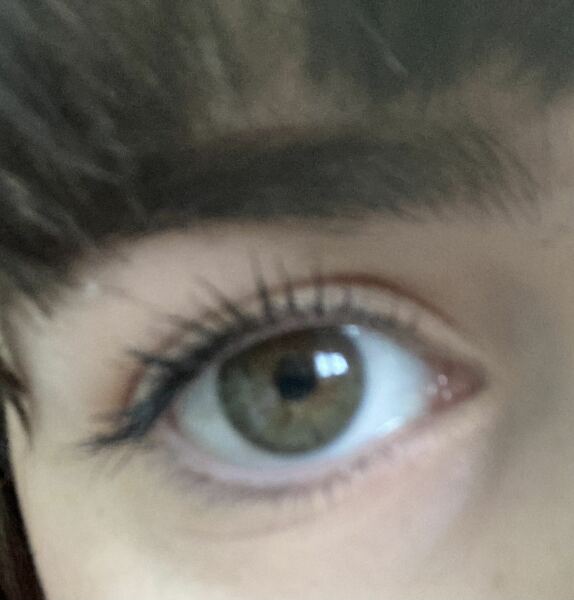 Do you wear mascara on bottom lashes?