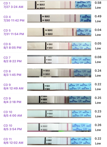 June/July TTC Thread❤️ CONTINUED