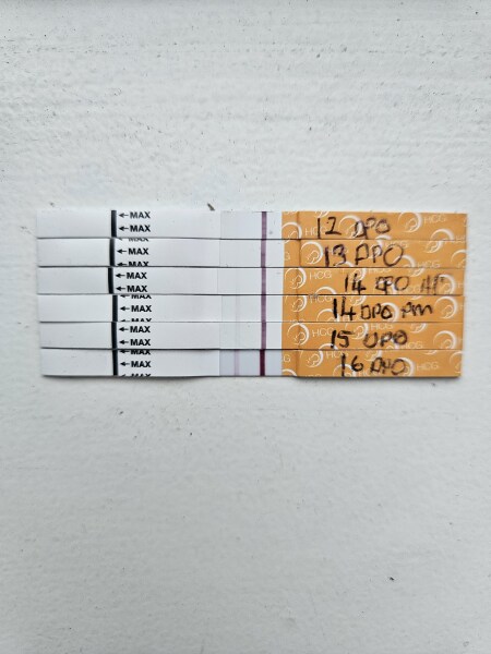 Struggling to conceive after MMC