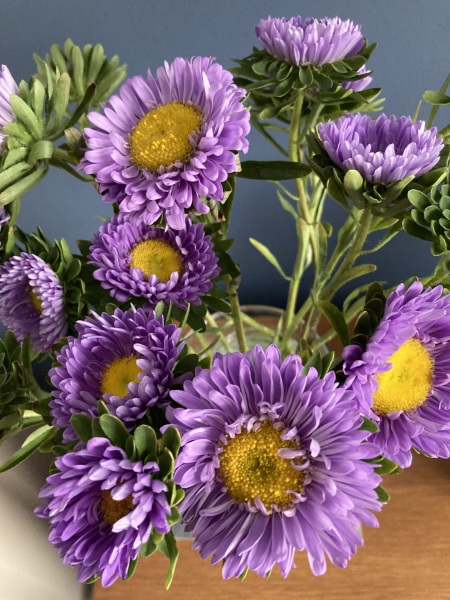 Thread 30 Starmer - Magic Roundabouts