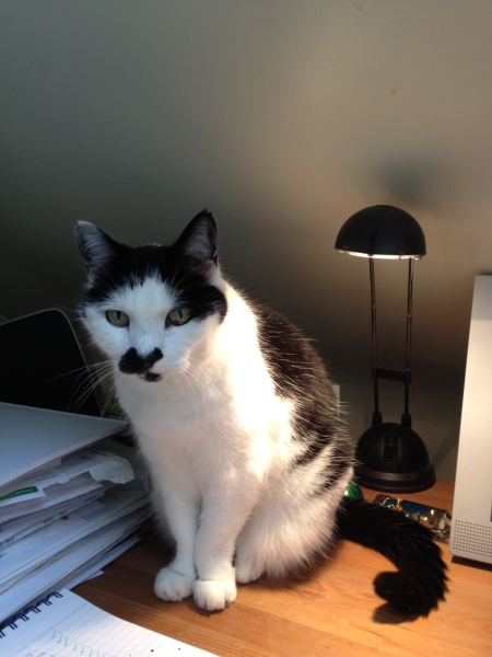 Thread 29 Starmer - Paint your Bandwagon