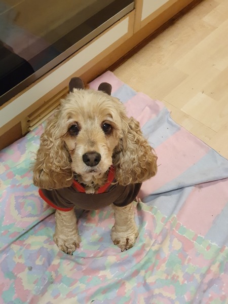 Our Cosmic Autumn Rebellion (Adolescent Support Group)