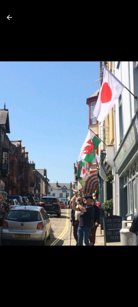 To ask those who are not white brittish how they feel about the flags?