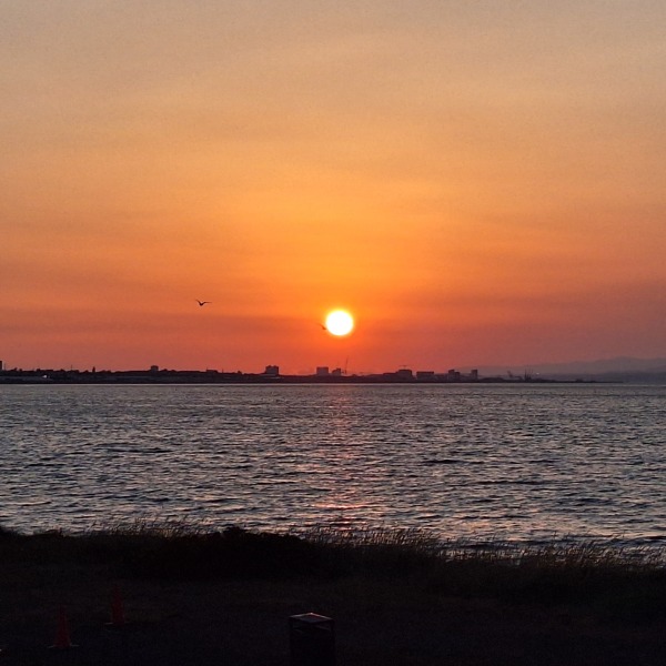 Summer 25 HFLC Boot Camp: Week 2