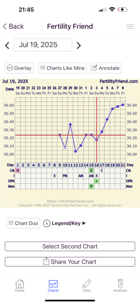 Which day did I ovulate please !?