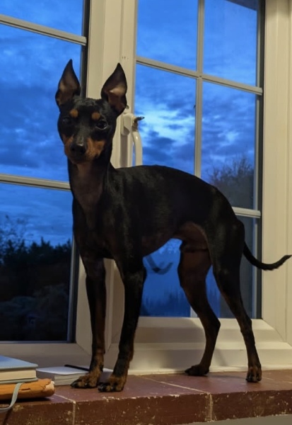 Year 11 - 2024/2025: The Results Day Thread