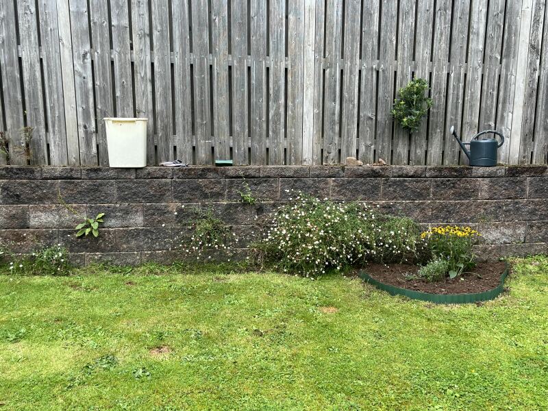 Flower bed advice