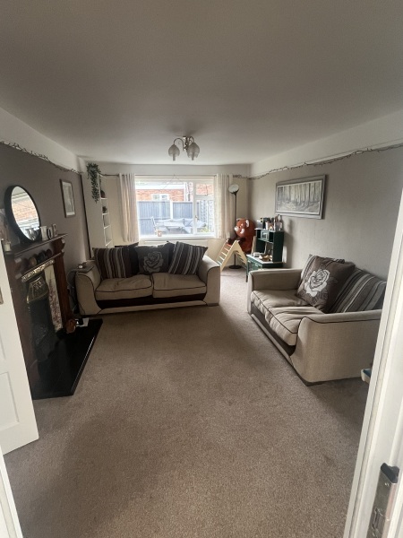 Long Living Room Layout - Help!