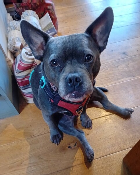 Continuing support thread for those trying to live an alcohol free life - summer 2025