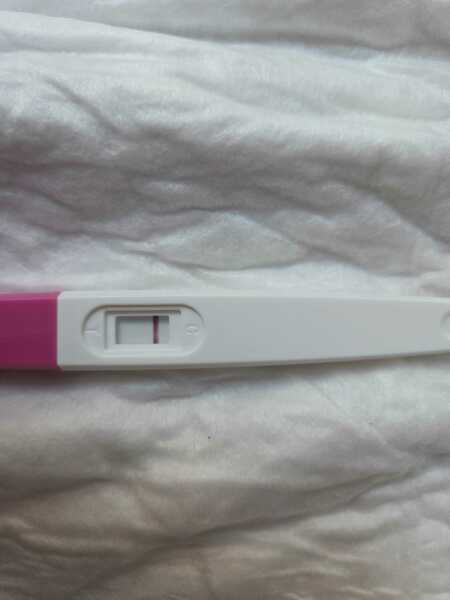 TTC TWW August/September 2025