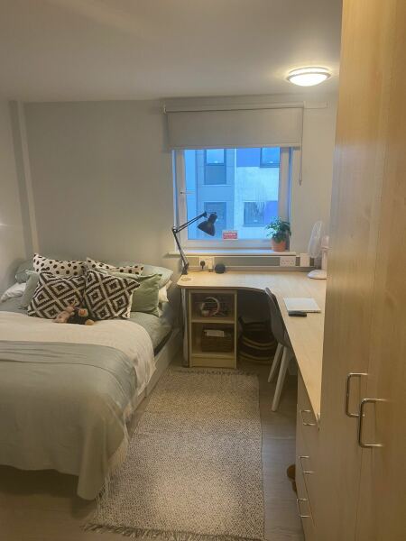 U of Sheffield accommodation