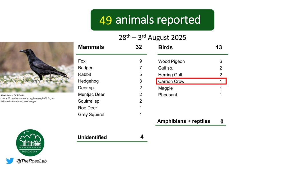 Another citizen science project - roadkill related