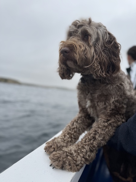 Show me you groom-day pics!