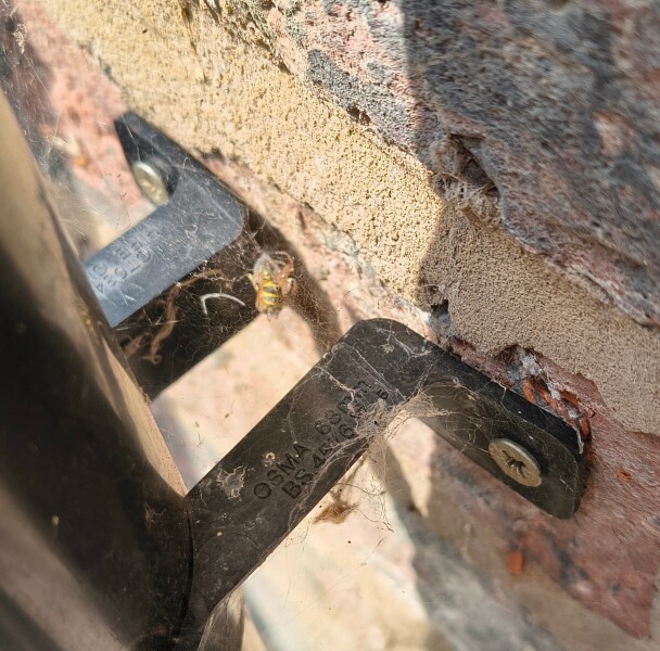 Thread 29 Starmer - Paint your Bandwagon