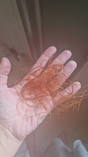 March 2025 starter thread 6