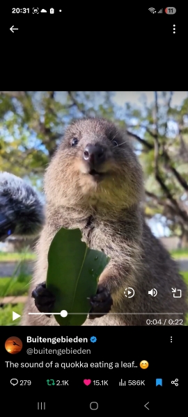 The Bluestocking Pub - Withered Old Haggis edition.