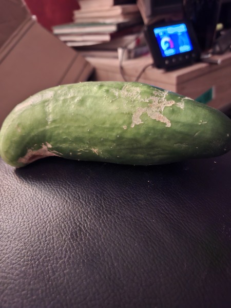 Random vegetable on doorstep