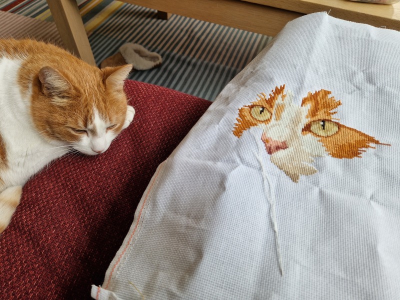 The One after the One where the Excellent Cats posed for a calendar