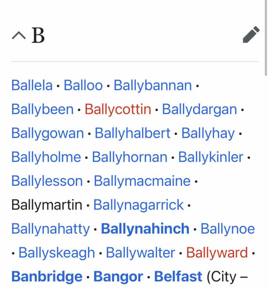 Can anyone decipher this marriage certificate