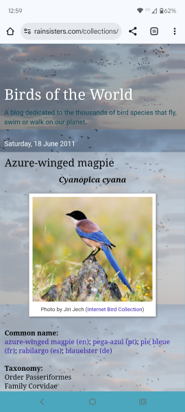 The Bluestocking - holding the line and losing the thread