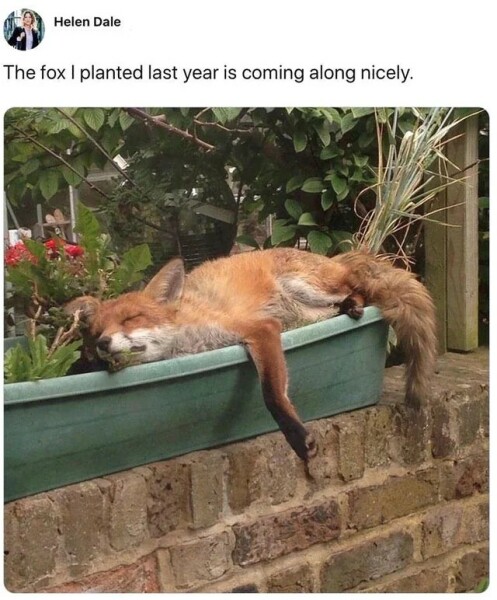 The Bluestocking - holding the line and losing the thread