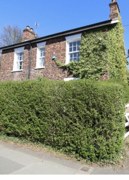 High damp readings in house we are in process of buying- advice needed