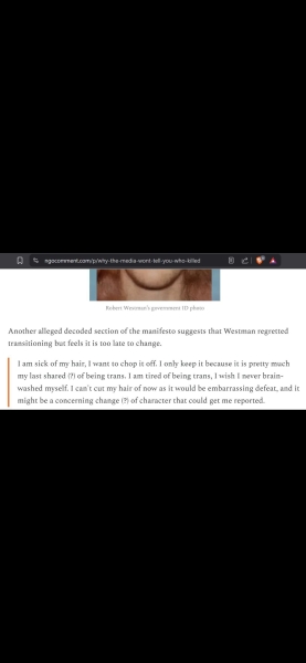 Minnesota mass shooting suspect - Tran activist.