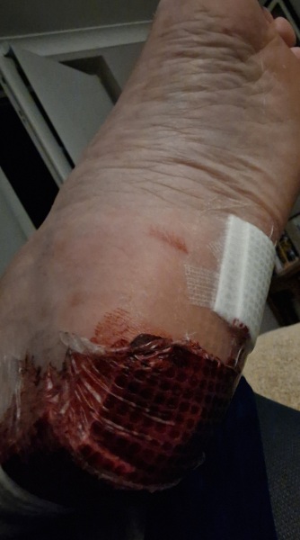 The Bluestocking does a late night flit again