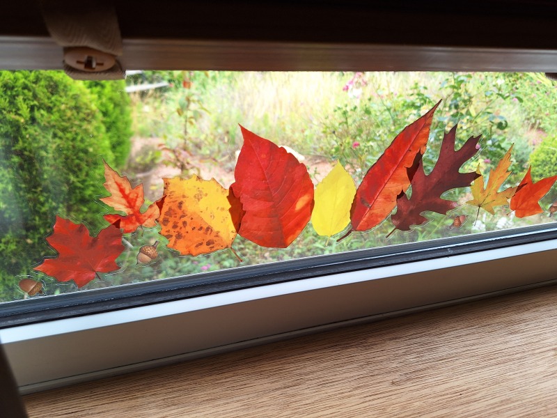 Year round Nigel Slater discussion thread Part 2