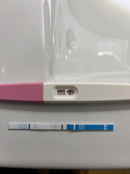 August FET 2025