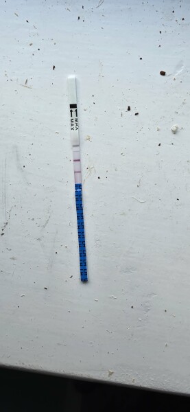 TTC TWW August/September 2025