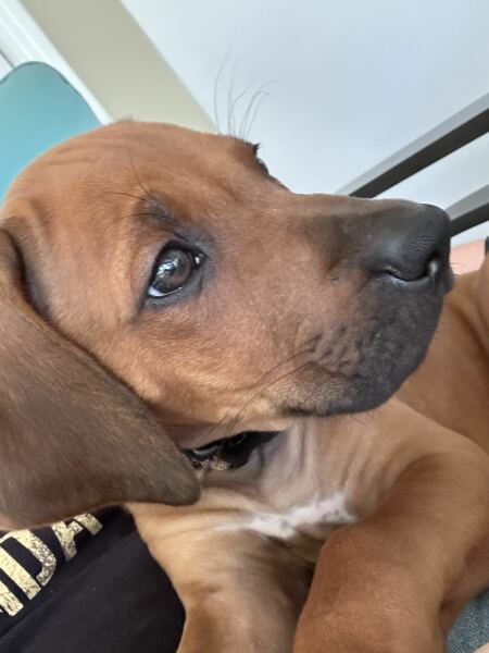 Mounjaro February to April 24 starters - Thread 4