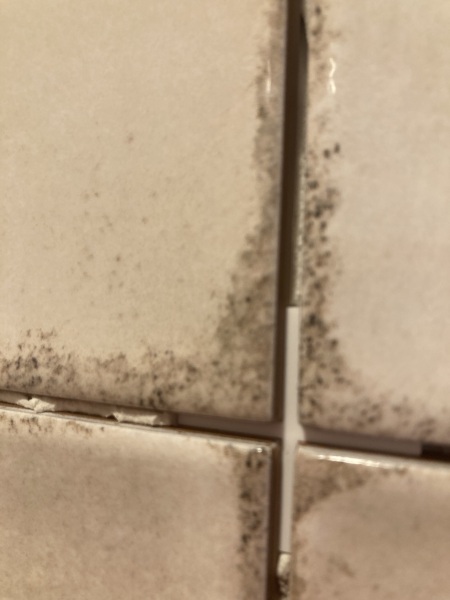 Aargh!! I hate my tiles!!