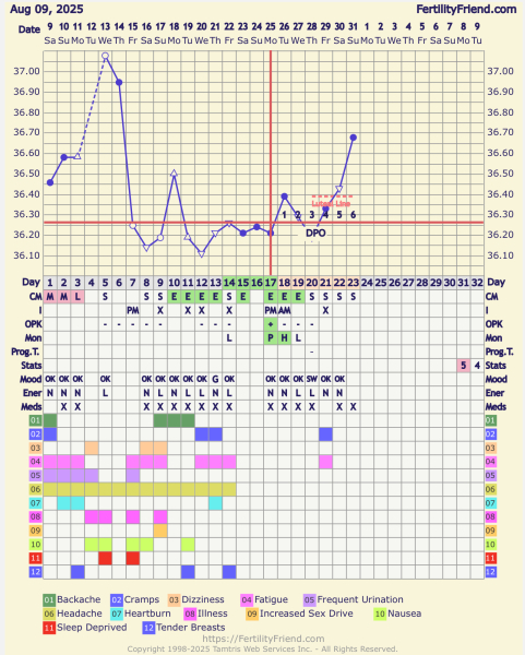 when did i ovulate?