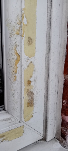 What on earth can I use to remove this from windows?
