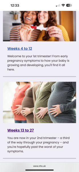 2nd trimester
