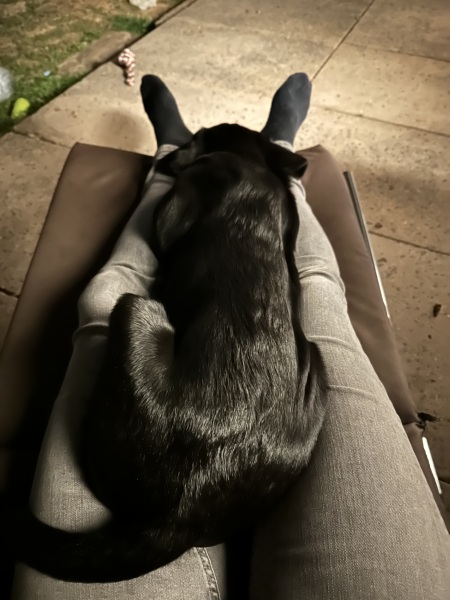 Our Cosmic Autumn Rebellion (Adolescent Support Group)