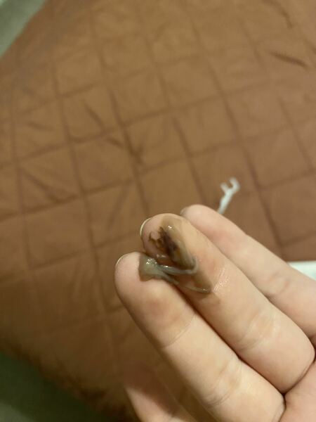 WARNING TMI pic - Weird cm CD10